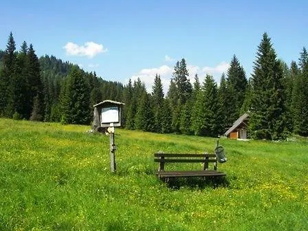 Almhaus & Almchalet بيت خشبي Flattnitz