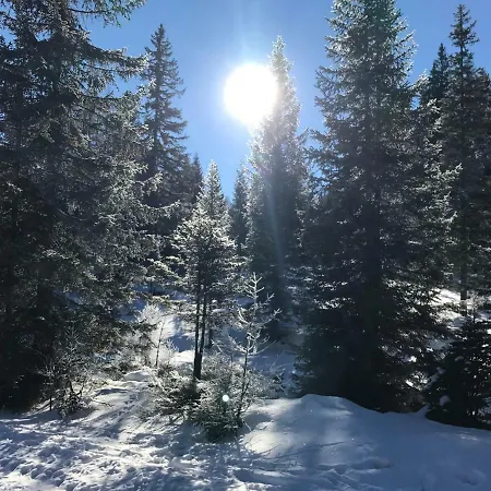 Lodge Almhaus&almchalet