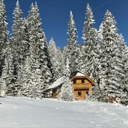 Almhaus & Almchalet Flattnitz