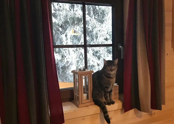 Almhaus & Almchalet אכסניה Flattnitz