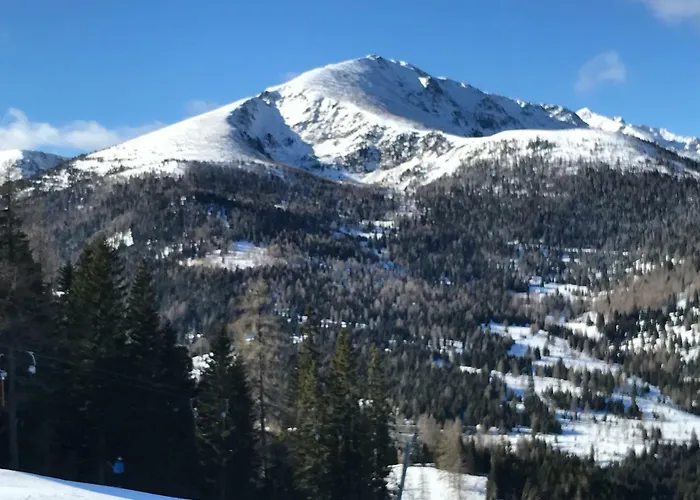 Lodge Almhaus & Almchalet