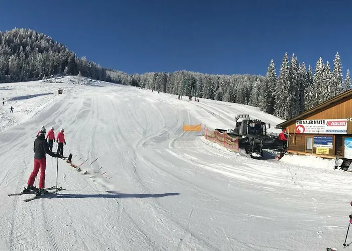 Lodge Almhaus & Almchalet