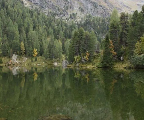 Almhaus & Almchalet *