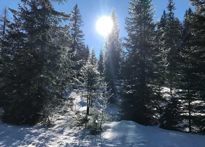 Lodge Almhaus & Almchalet