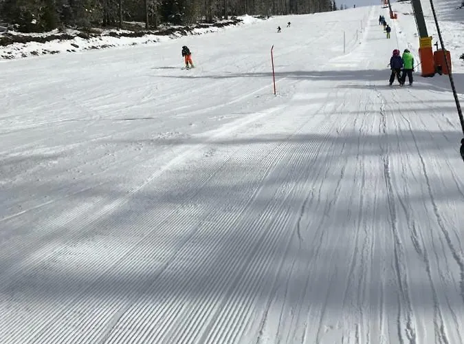 Almhaus & Almchalet Lodge *