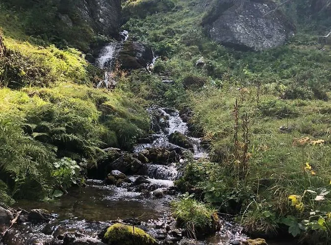 Almhaus & Almchalet * Flattnitz